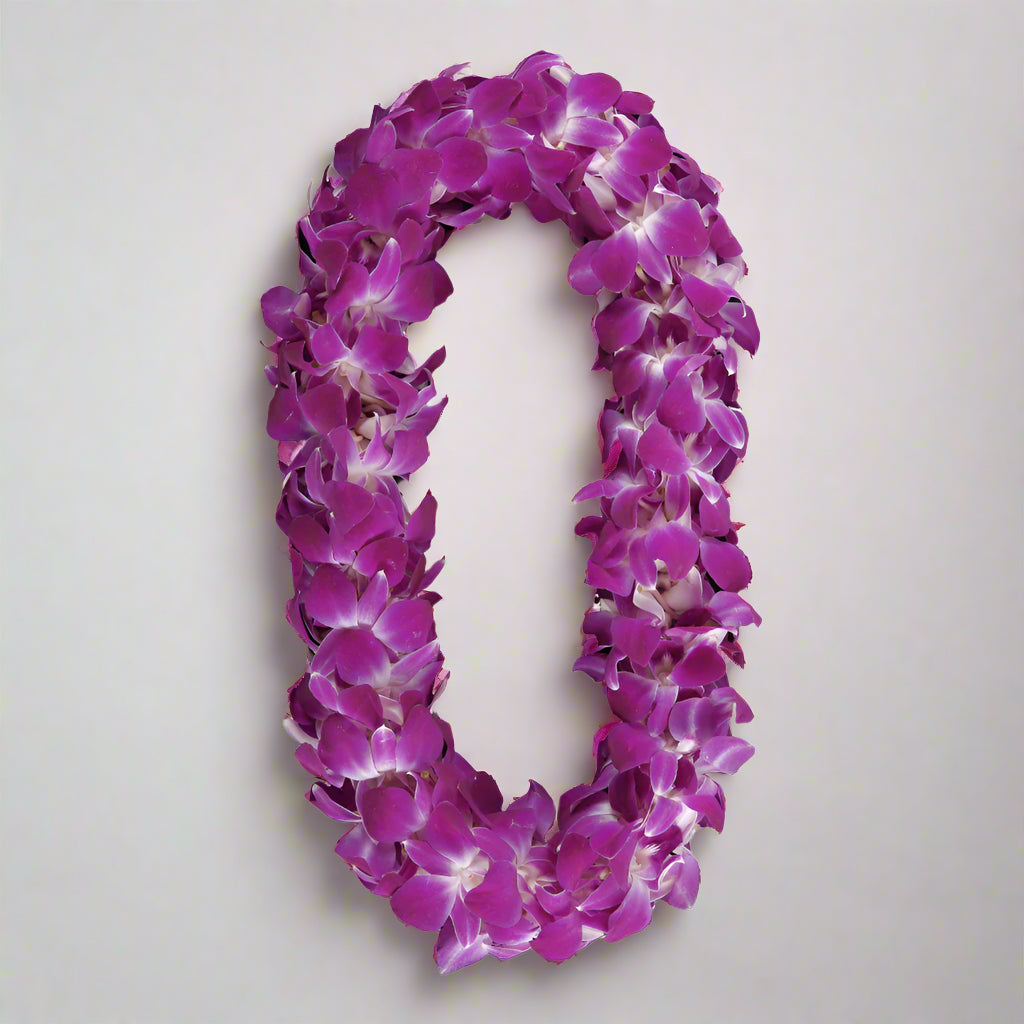 Double Orchid Lei in Bombay color, for graduation