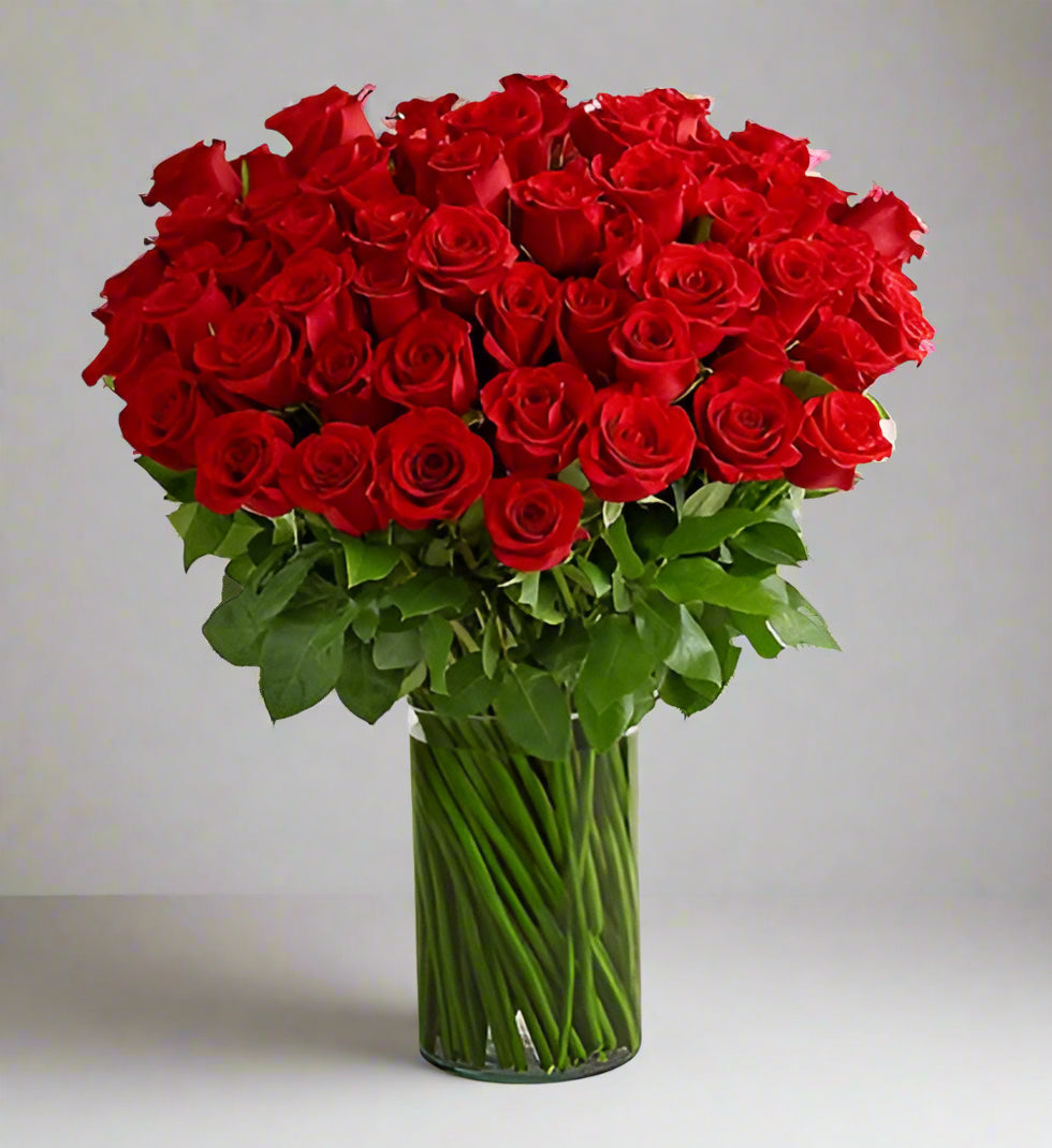 Make an unforgettable statement with our 100 Rose Vase, featuring 100 premium long-stem Ecuadorian roses elegantly arranged in a clear glass vase. Choose from classic red, pure white, or romantic pink to create the perfect gift for Valentine’s Day, anniversaries, birthdays, or any special occasion.
Why Choose Our 100 Rose Vase?
100 luxury Ecuadorian roses for a breathtaking display
Long stems with lush, full blooms
Hand-arranged in a high-quality clear glass vase
Perfect for Valentine’s Day flowers