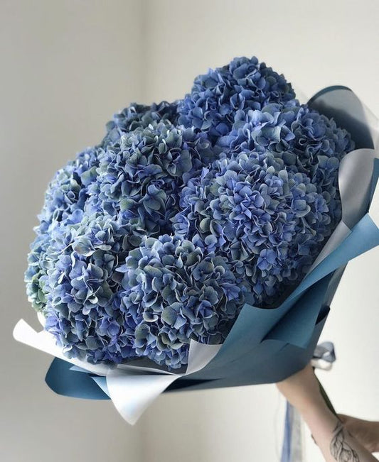 The Ultimate Guide to Hydrangea Care: Tips for Enjoying Your Floral Arrangement