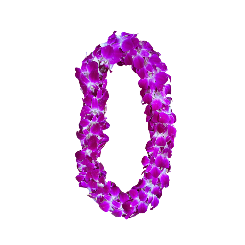 Fresh Double Orchid Flower Lei "Bombay"