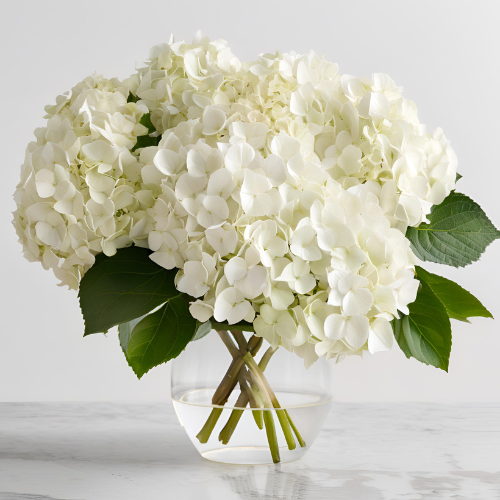 Hydrangea Sympathy Vase