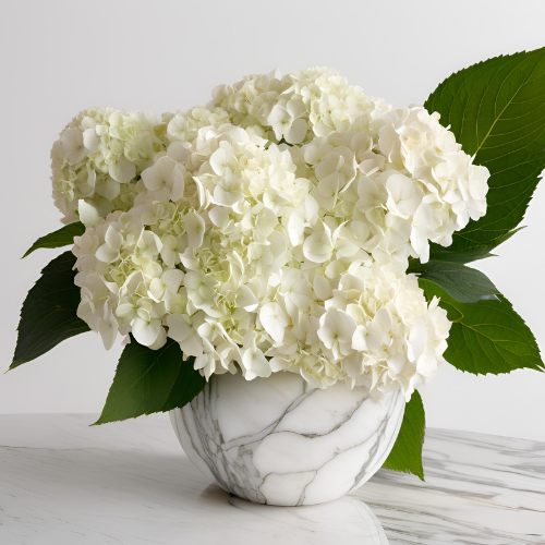 Hydrangea Sympathy Vase