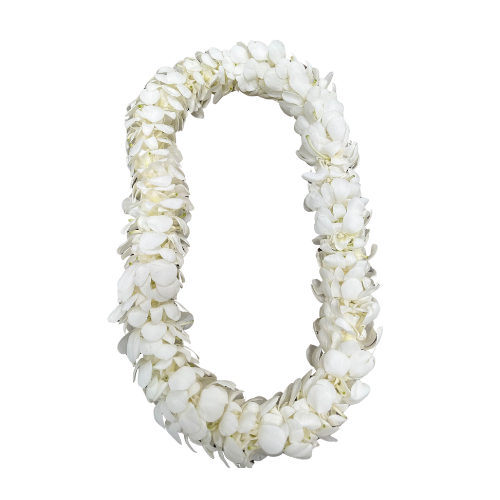 Fresh Double Orchid Flower Lei "White"